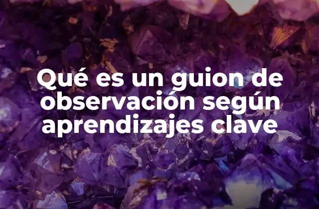 Qué es un Guion de Observación según Aprendizajes Clave 2 La importancia de los instrumentos de observación en el aula