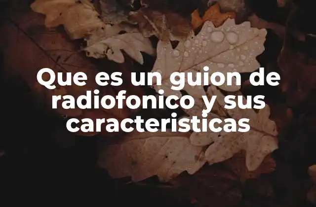 Que es un Guion de Radiofonico y Sus Caracteristicas