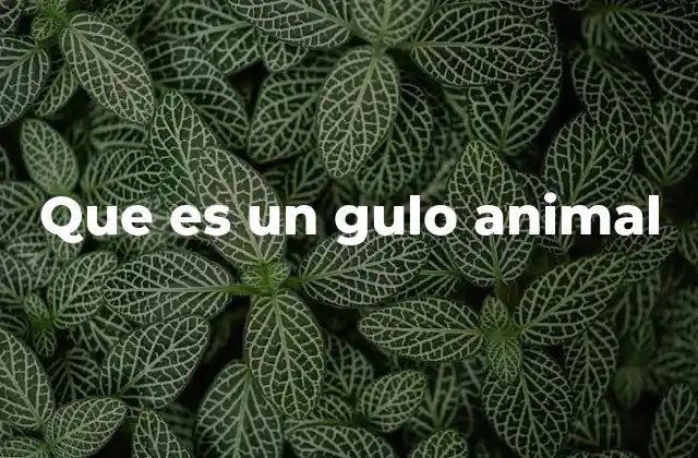 Que es un Gulo Animal 5 Características del gulo animal en su entorno natural