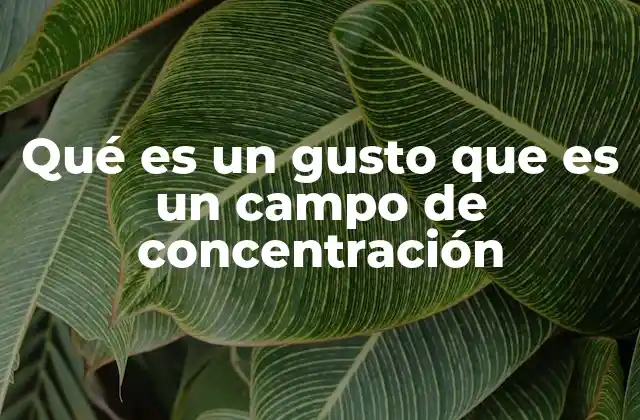 Qué es un Gusto que es un Campo de Concentración