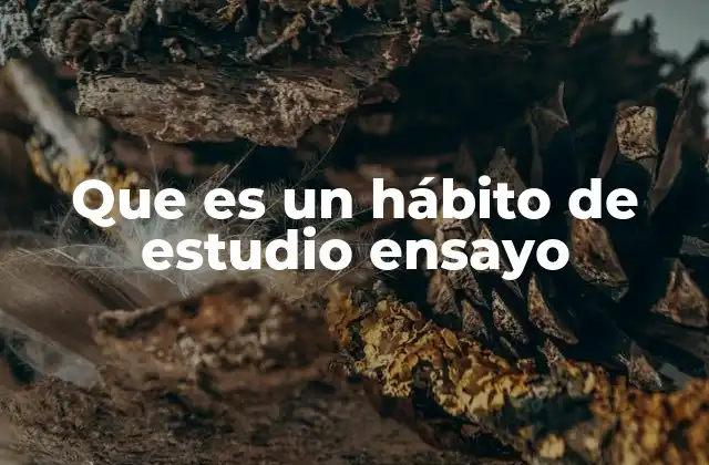 La importancia de desarrollar hábitos de estudio en la vida moderna