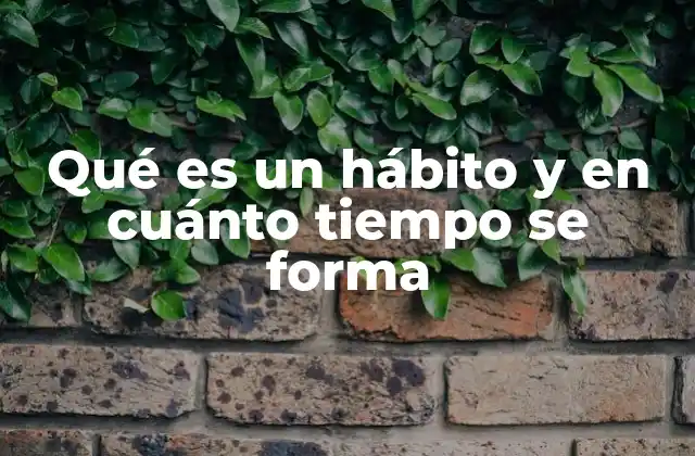 Qué es un Hábito y en Cuánto Tiempo Se Forma