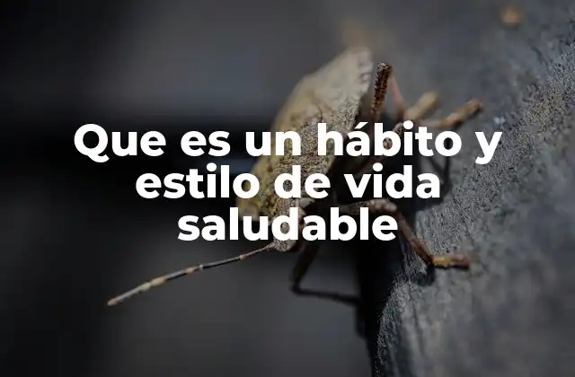 Que es un Hábito y Estilo de Vida Saludable 2 La importancia de construir rutinas positivas