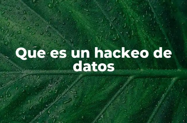 Que es un Hackeo de Datos