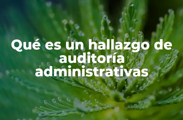Qué es un Hallazgo de Auditoría Administrativas
