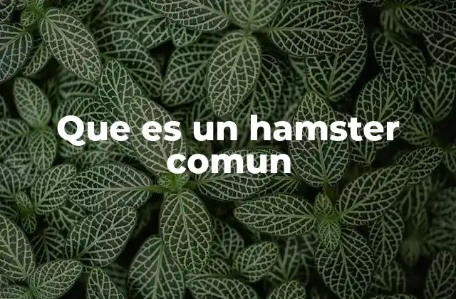 Que es un Hamster Comun