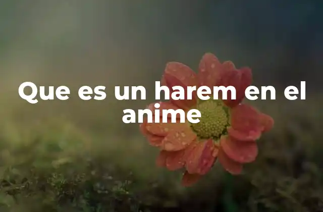 Que es un Harem en el Anime 2 El harem como dinámica narrativa en el anime