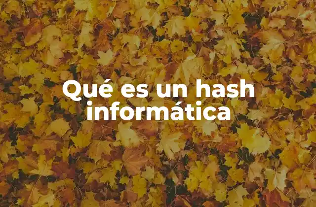 Qué es un Hash Informática