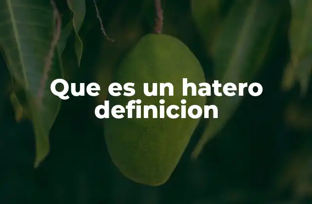 Que es un Hatero Definicion