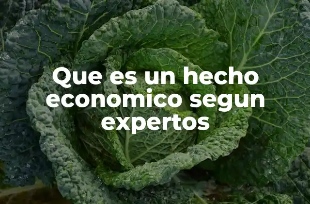 La importancia de los hechos económicos en la toma de decisiones