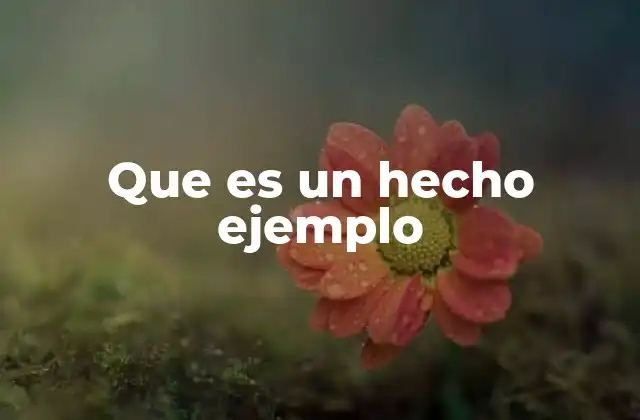 Que es un Hecho Ejemplo