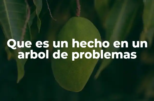 Que es un Hecho en un Arbol de Problemas