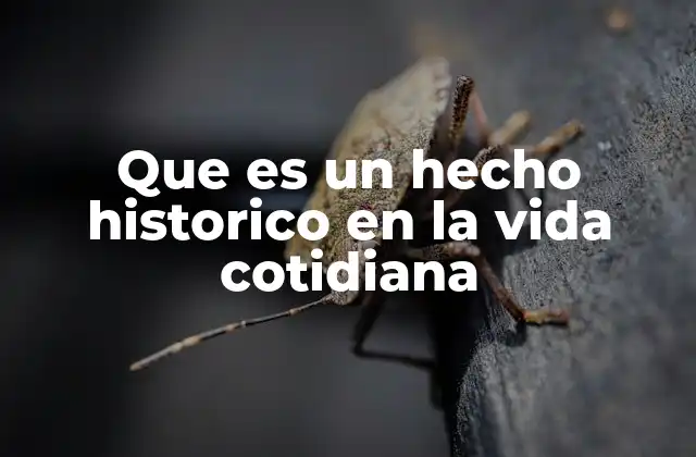 Que es un Hecho Historico en la Vida Cotidiana