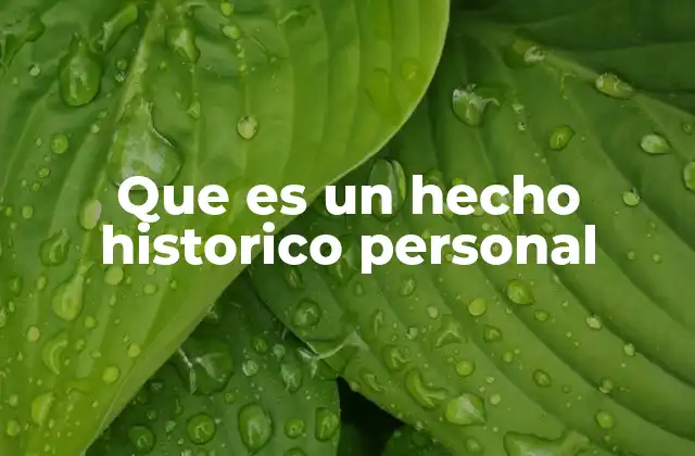 Que es un Hecho Historico Personal