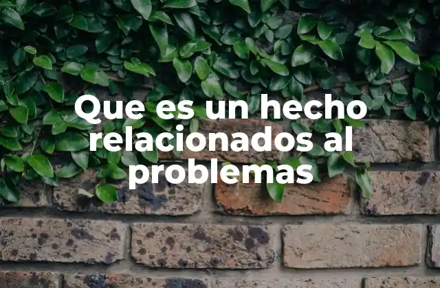 Que es un Hecho Relacionados Al Problemas