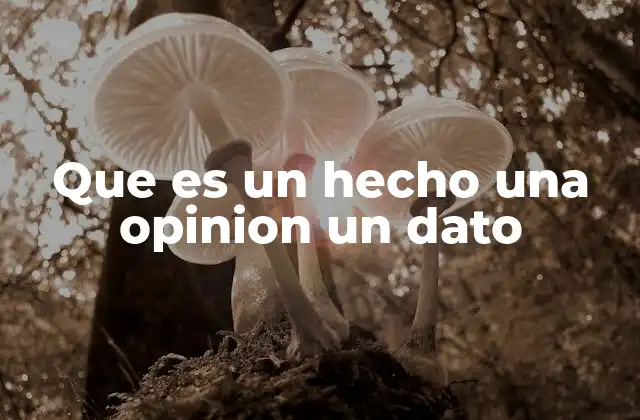 Que es un Hecho una Opinion un Dato