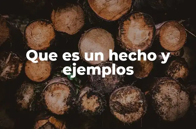 Que es un Hecho y Ejemplos