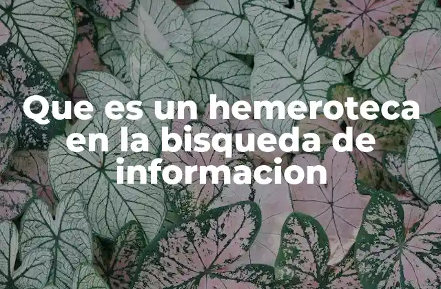El papel de las hemerotecas en la investigación histórica