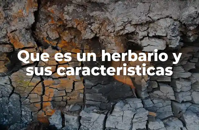 El papel del herbario en la ciencia vegetal