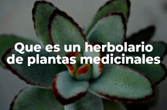 La importancia de los herbolarios en la medicina tradicional