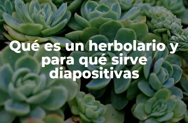 Qué es un Herbolario y para Qué Sirve Diapositivas
