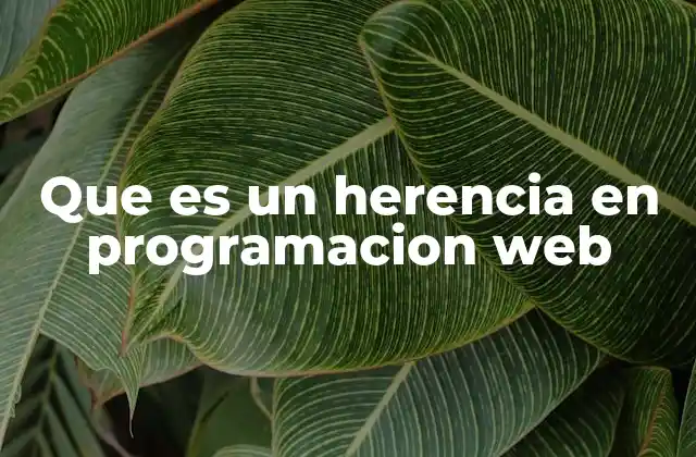 Que es un Herencia en Programacion Web