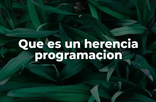 Que es un Herencia Programacion