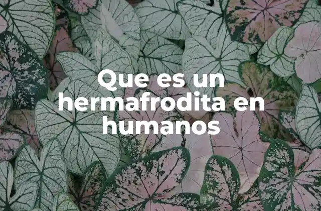 Características anatómicas y genéticas de las personas hermafroditas