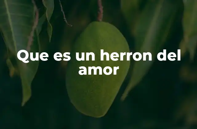 Que es un Herron Del Amor 2 El amor como herramienta de transformación