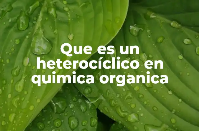 Que es un Heterocíclico en Quimica Organica