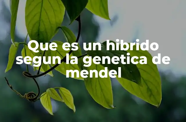 Que es un Hibrido Segun la Genetica de Mendel