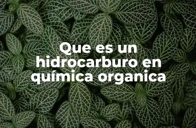 Que es un Hidrocarburo en Química Organica