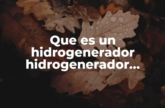 Que es un Hidrogenerador Hidrogenerador Electrico