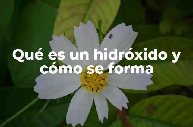 Qué es un Hidróxido y Cómo Se Forma