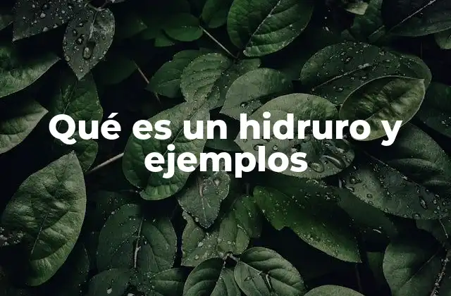 Qué es un Hidruro y Ejemplos
