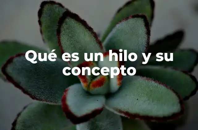 Qué es un Hilo y Su Concepto 2 La importancia de los hilos en la producción textil