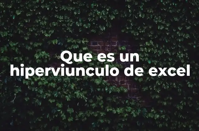 Que es un Hiperviunculo de Excel