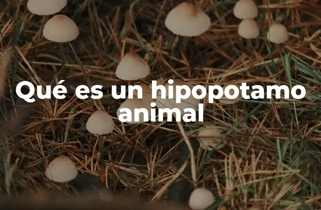 Qué es un Hipopotamo Animal