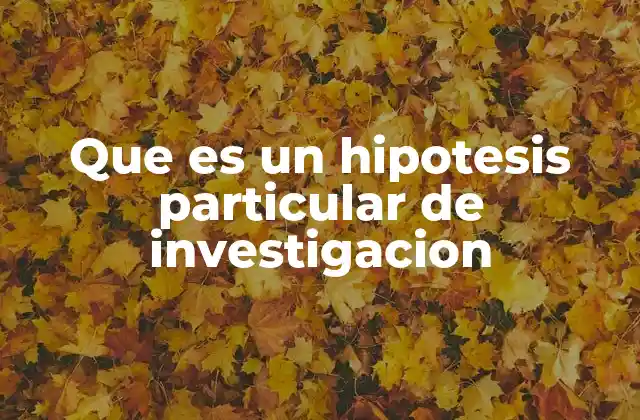 Que es un Hipotesis Particular de Investigacion 2 La importancia de definir correctamente una hipótesis particular