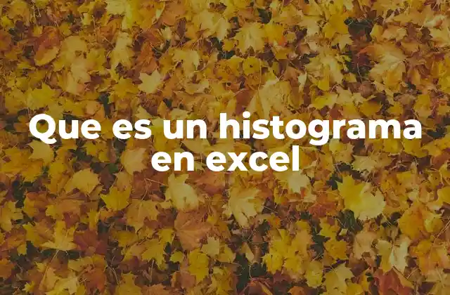 Que es un Histograma en Excel