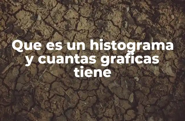 Que es un Histograma y Cuantas Graficas Tiene