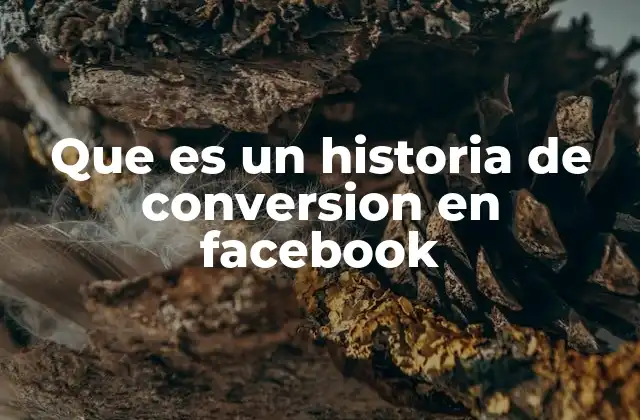 Que es un Historia de Conversion en Facebook