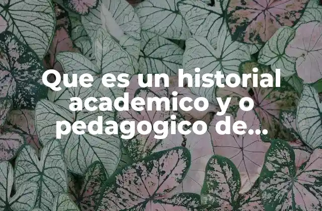 Que es un Historial Academico y o Pedagogico de Prescolar