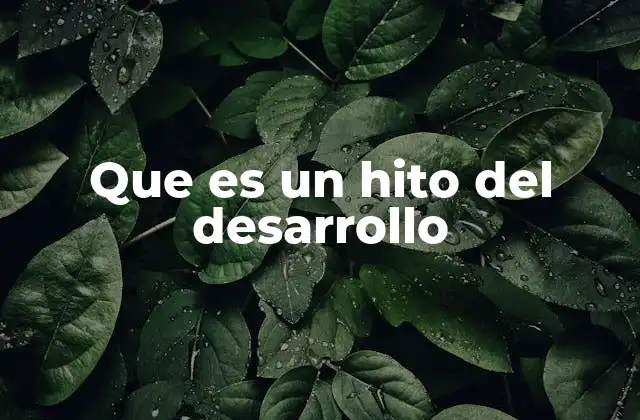 Que es un Hito Del Desarrollo