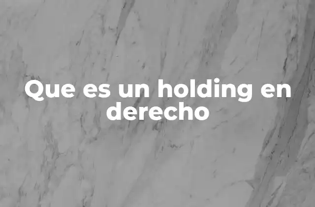Que es un Holding en Derecho