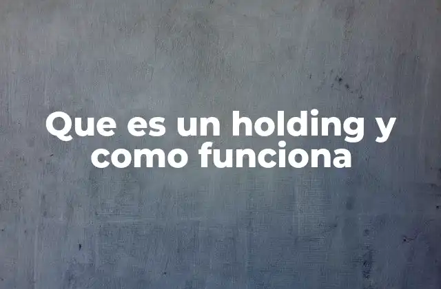 Que es un Holding y como Funciona