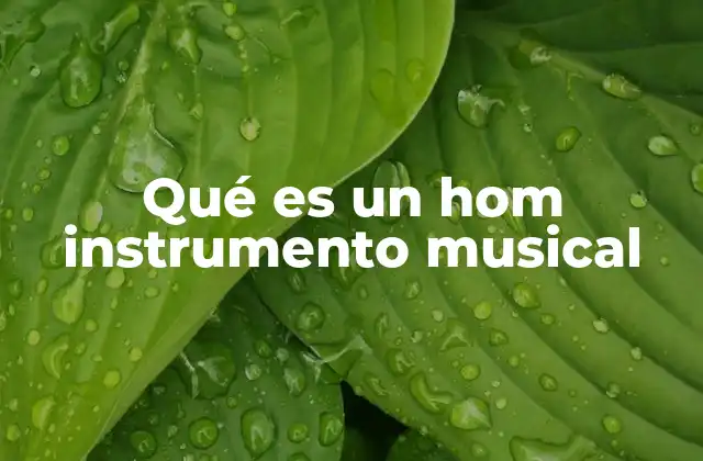 Qué es un Hom Instrumento Musical
