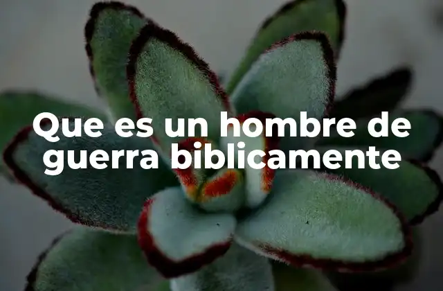 Que es un Hombre de Guerra Biblicamente 2 La dualidad del hombre de guerra: entre el combate y la pacificación