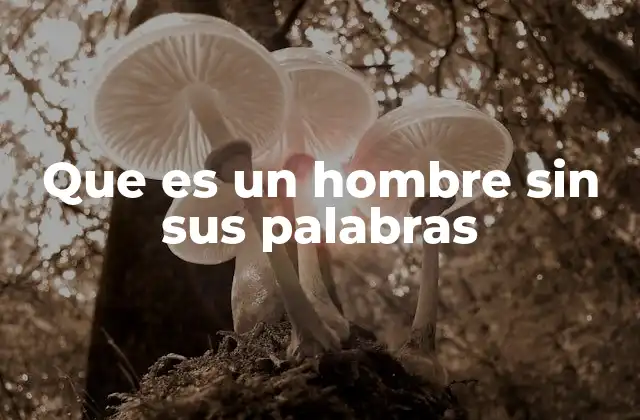 Que es un Hombre sin Sus Palabras