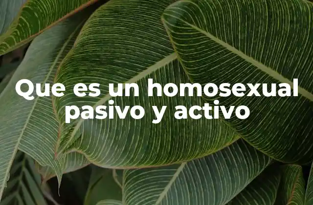 Que es un Homosexual Pasivo y Activo